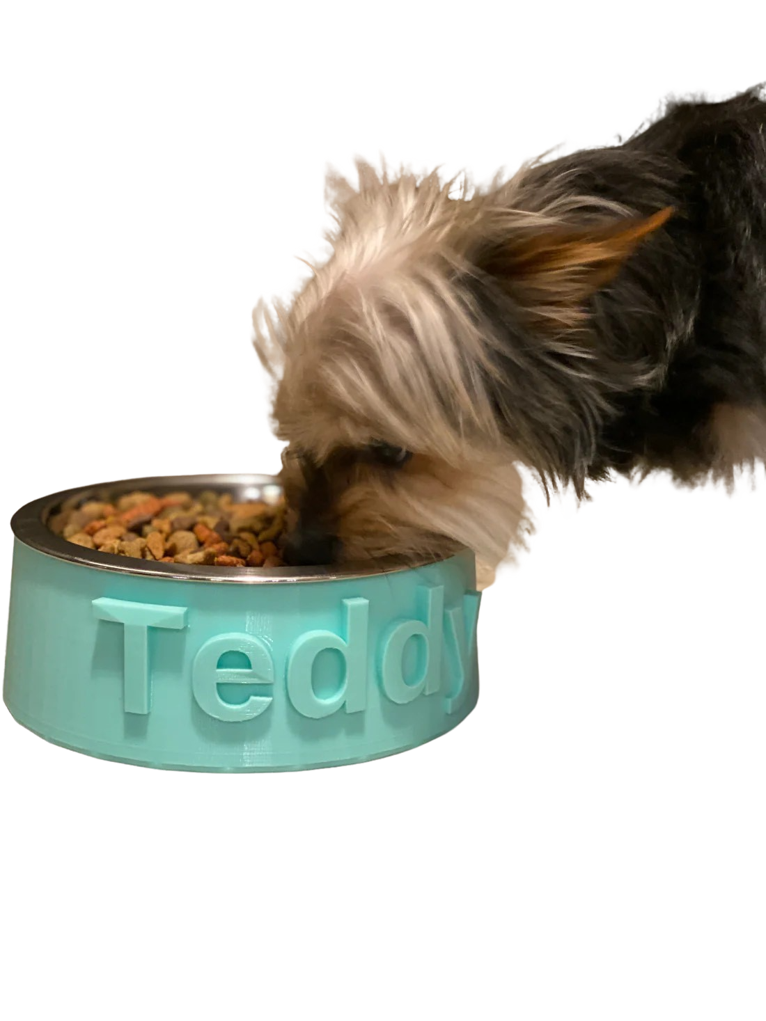 Custom Dog Bowl